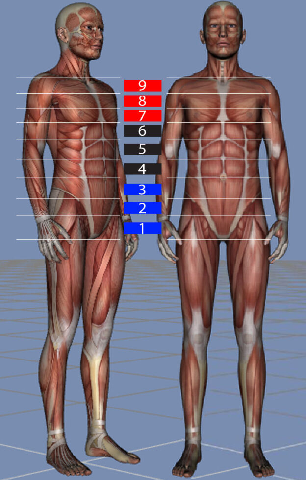 Die Drei Core Wright Balance